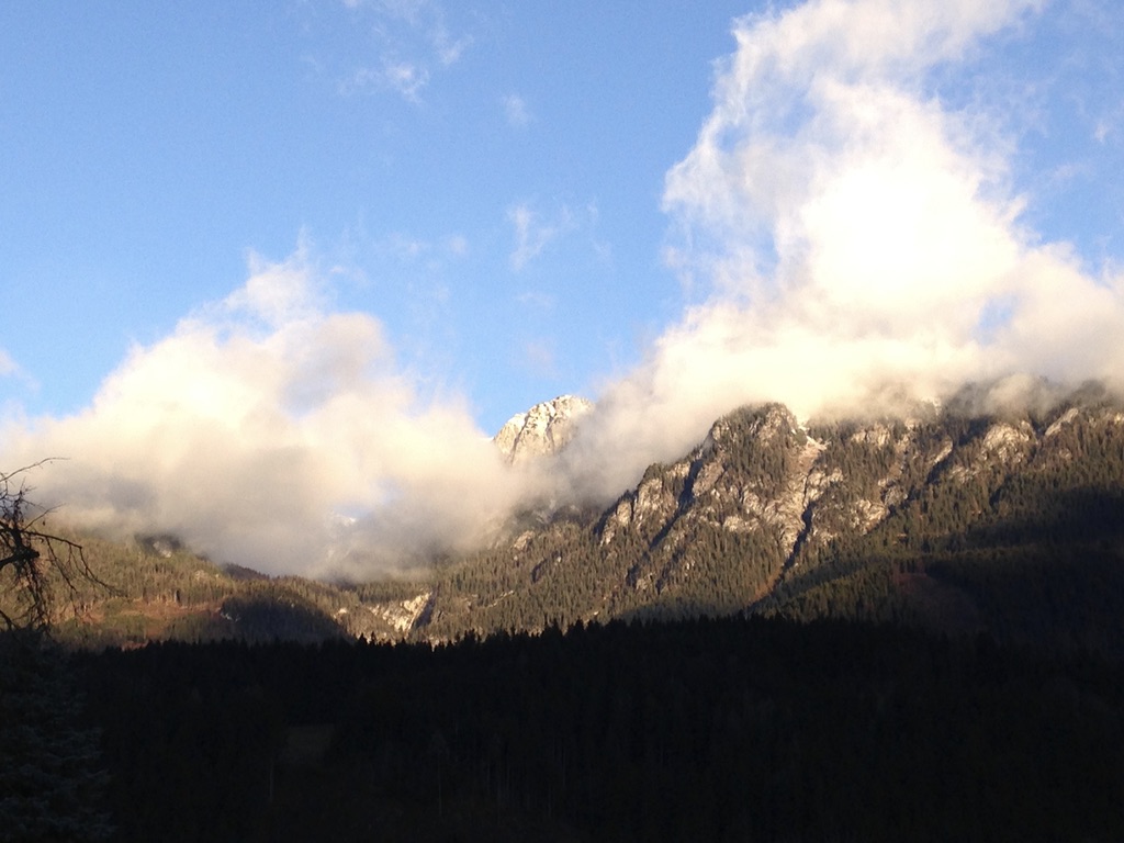 B96F443C 7ACF 485B 9548 FED2E98089AB 1 105 c